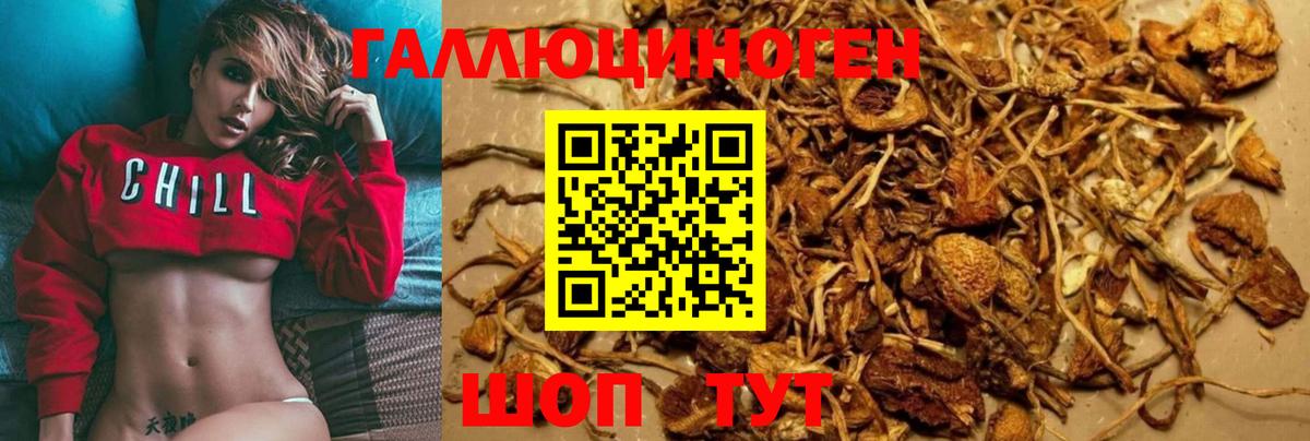 Сухой Лог  где продают   Вход с VPN  Псилоцибиновые грибы MAGIC MUSHROOMS  Галлюциногенные грибы MAGIC MUSHROOMS 